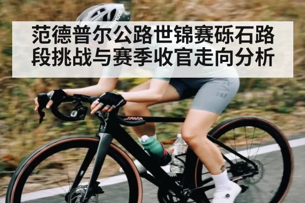 范德普尔公路世锦赛砾石路段挑战与赛季收官走向分析